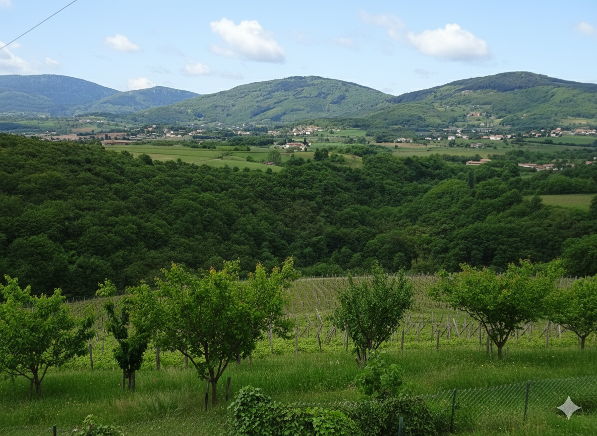 Paysage des Monts du Pilat